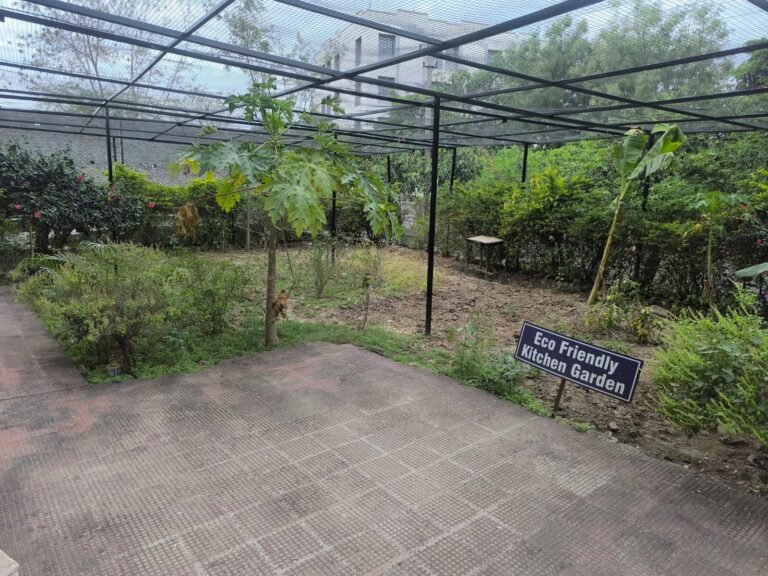 WhatsApp Image 2026-04-03 at 3.36